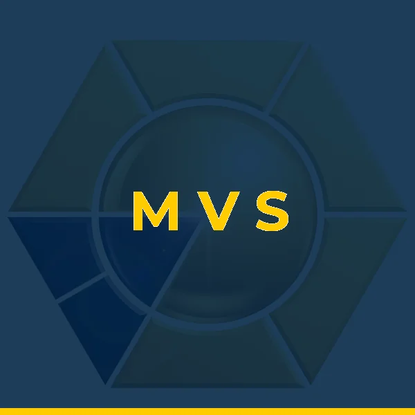 Foto de M V S CONSULTORIA E SERVICOS