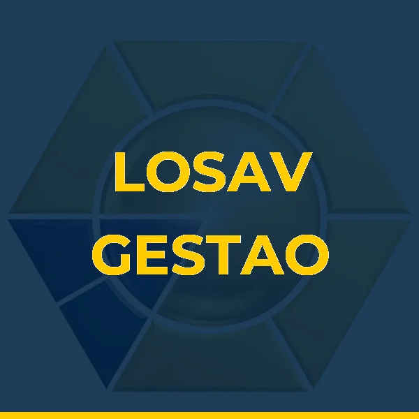 Foto de LOSAV GESTAO ADMINISTRATIVA