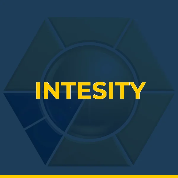 Foto de INTESITY