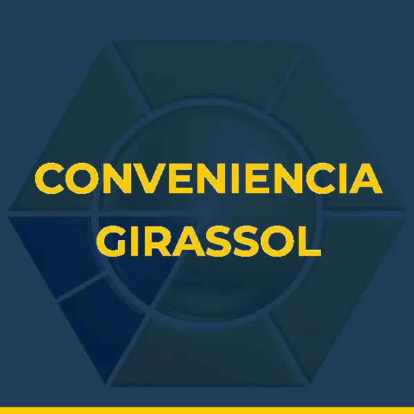 Foto de CONVENIENCIA GIRASSOL PALMAS