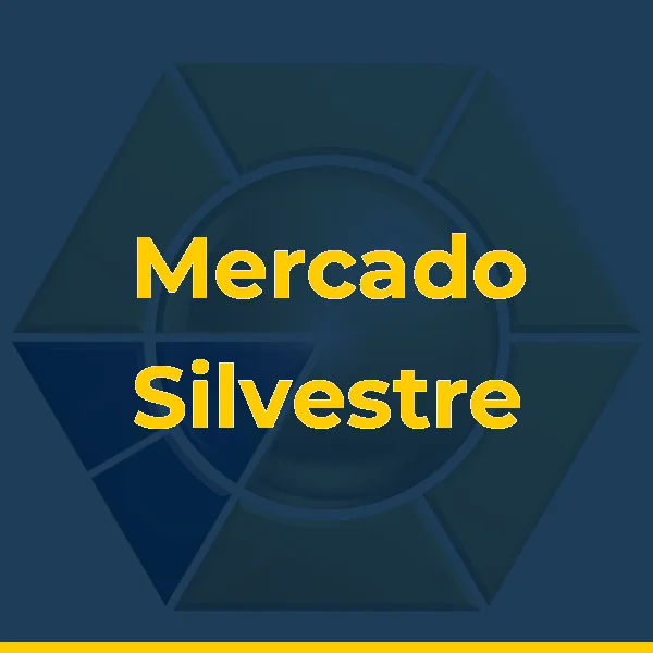 Foto de Mercado Silvestre