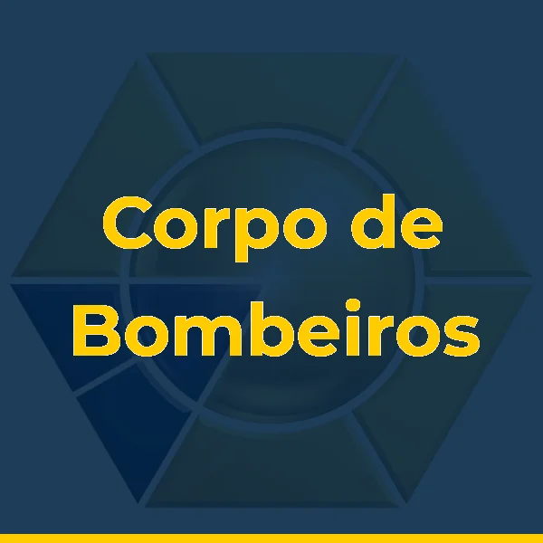 Foto de Corpo de Bombeiros de Areal-RJ DBM 3/15