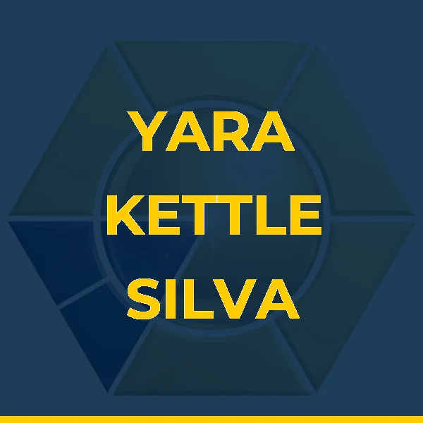 Foto de YARA KETTLE SILVA