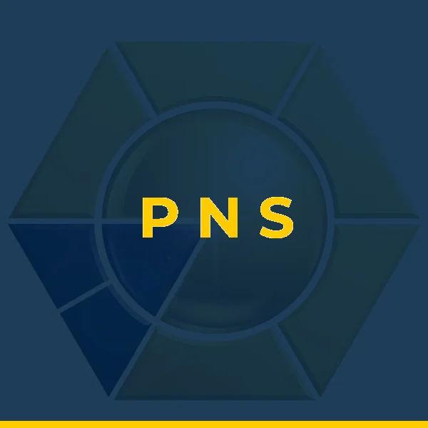 Foto de P N S SERVICOS ADMINISTRATIVOS