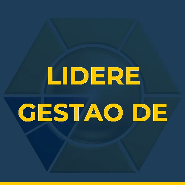 Foto de LIDERE GESTAO DE NEGOCIOS E DE PESSOAS
