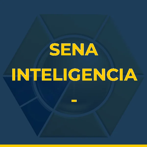 Foto de SENA INTELIGENCIA - SOLUCOES EMPRESARIAIS LTDA