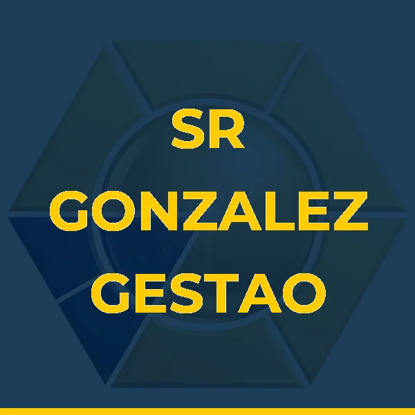 Foto de SR GONZALEZ GESTAO DE NEGOCIOS LTDA
