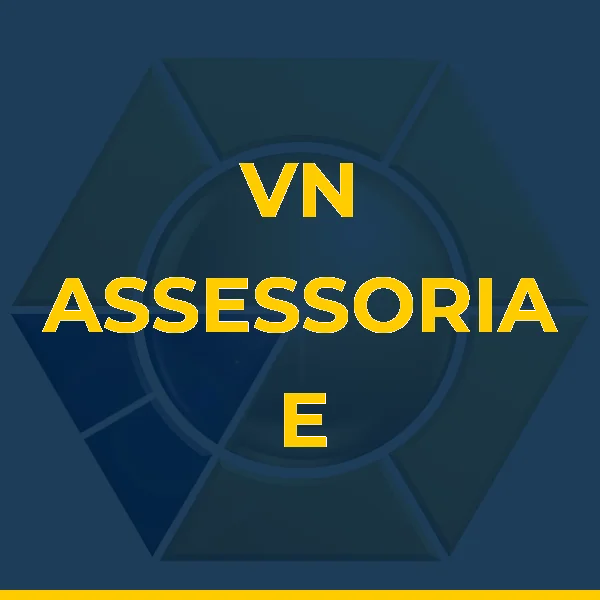 Foto de VN ASSESSORIA E CONSULTORIA LTDA