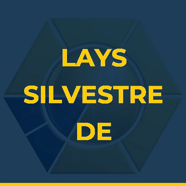 Foto de LAYS SILVESTRE DE LIMA