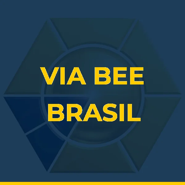 Foto de VIA BEE BRASIL SERVICOS DE TECNOLOGIA