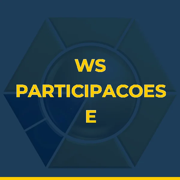 Foto de WS PARTICIPACOES E INVESTIMENTOS LTDA