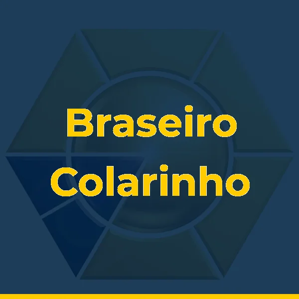 Foto de Braseiro Colarinho