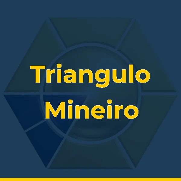 Foto de Triangulo Mineiro Transmissora de Energia S.A