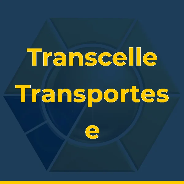 Foto de Transcelle Transportes e Munck