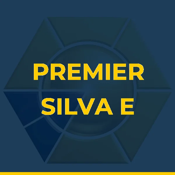 Foto de PREMIER SILVA E CO