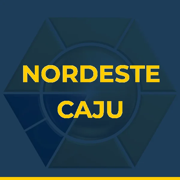 Foto de NORDESTE CAJU