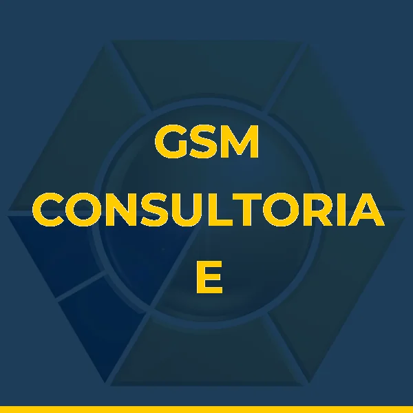 Foto de GSM CONSULTORIA E SERVICOS LTDA