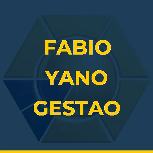 Foto de FABIO YANO GESTAO E CONSULTORIA LTDA