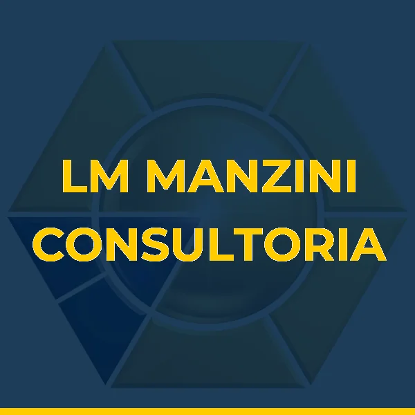 Foto de LM MANZINI CONSULTORIA LTDA