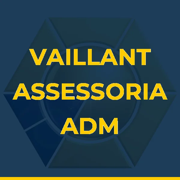 Foto de VAILLANT ASSESSORIA ADM LTDA