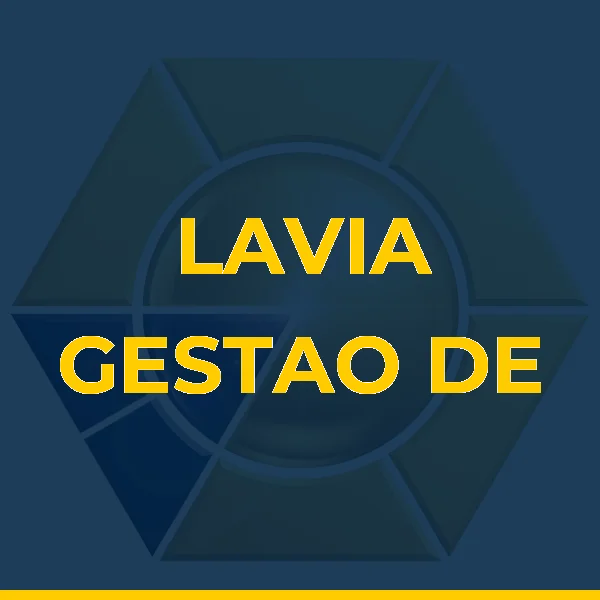 Foto de LAVIA GESTAO DE NEGOCIOS