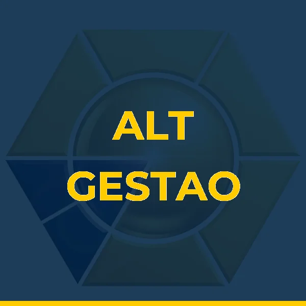 Foto de ALT GESTAO