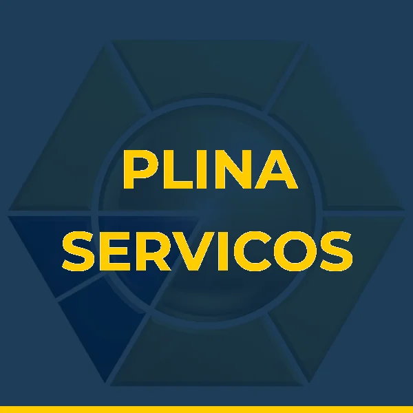 Foto de PLINA SERVICOS ADMINISTRATIVOS