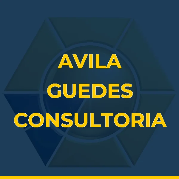 Foto de AVILA GUEDES CONSULTORIA LTDA