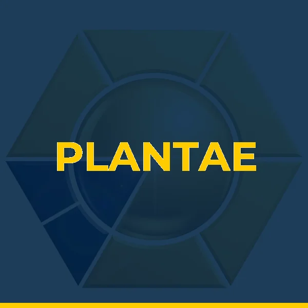 Foto de PLANTAE