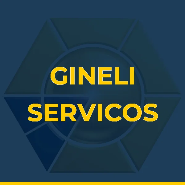 Foto de GINELI SERVICOS COMBINADOS DE ESCRITORIO LTDA