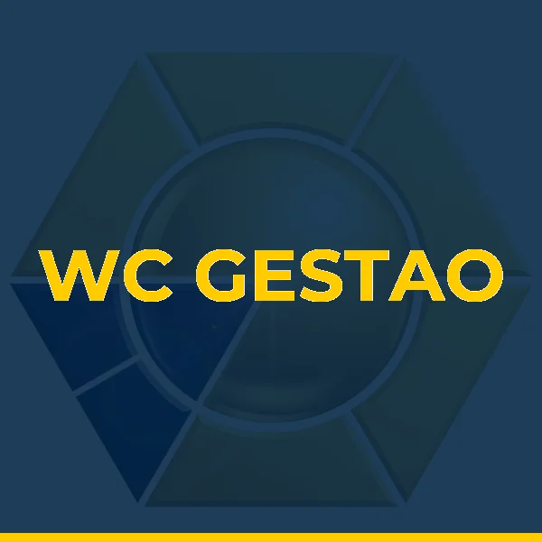 Foto de WC GESTAO
