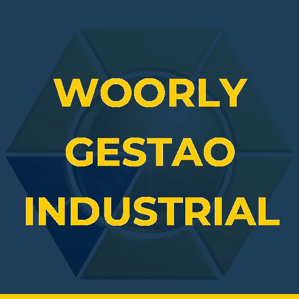 Foto de WOORLY GESTAO INDUSTRIAL LTDA