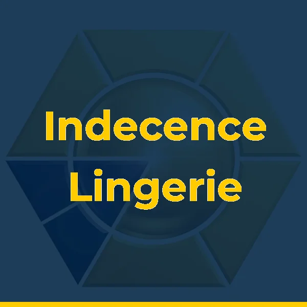 Foto de Indecence Lingerie