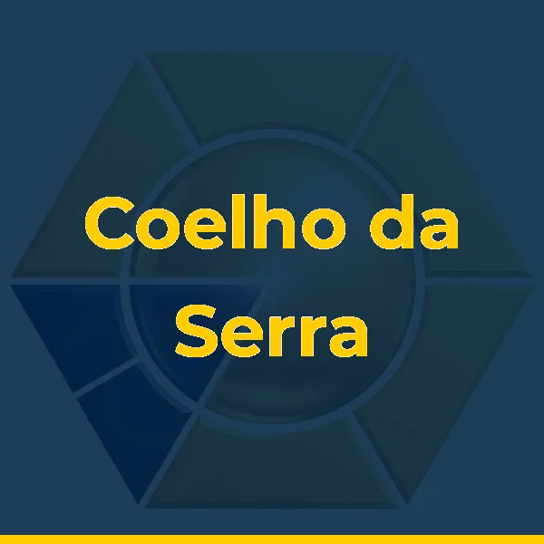Foto de Coelho da Serra Transportes