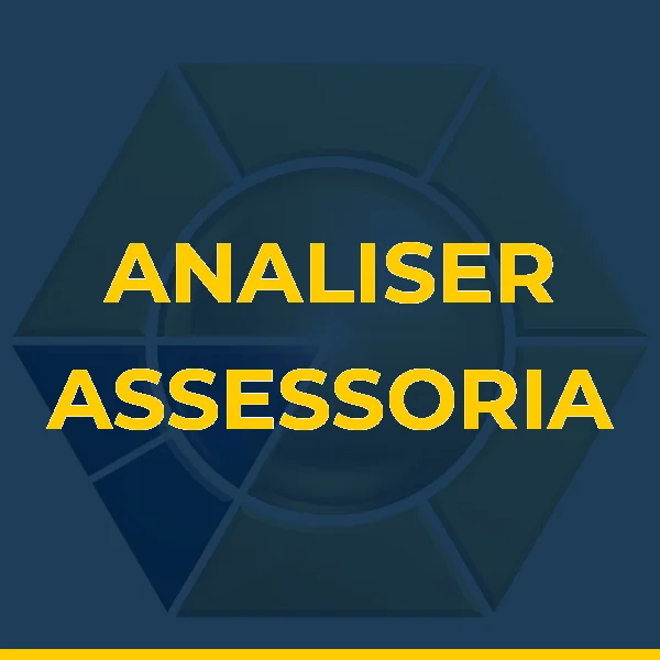 Foto de ANALISER ASSESSORIA EMPRESARIAL LTDA ME