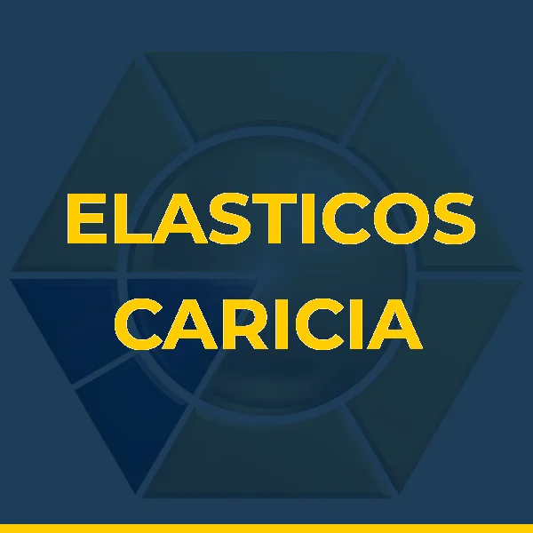 Foto de ELASTICOS CARICIA