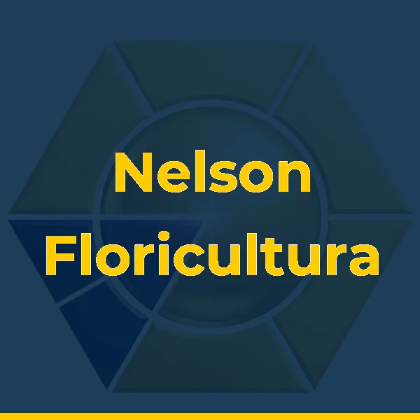 Foto de Nelson Floricultura