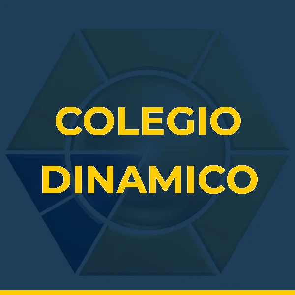 Foto de COLEGIO DINAMICO