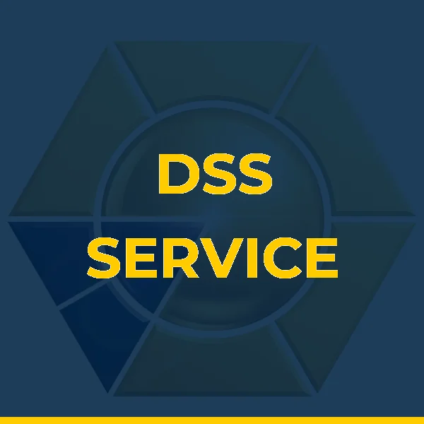Foto de DSS SERVICE