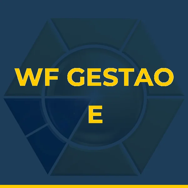 Foto de WF GESTAO E SERVICOS ADMINISTRATIVOS LTDA