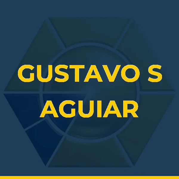 Foto de GUSTAVO S AGUIAR LTDA