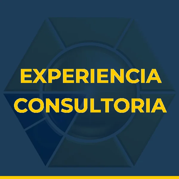 Foto de EXPERIENCIA CONSULTORIA
