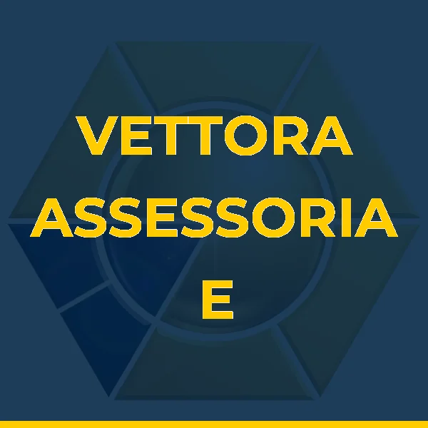 Foto de VETTORA ASSESSORIA E CONSULTORIA