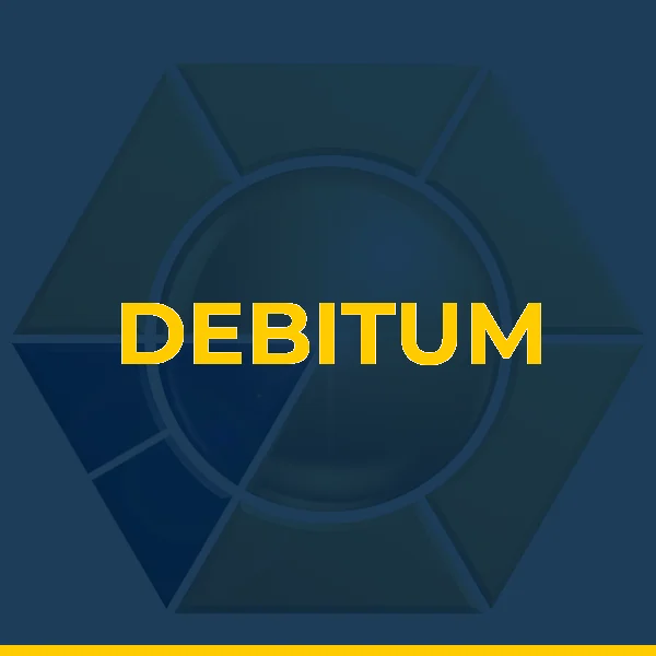 Foto de DEBITUM