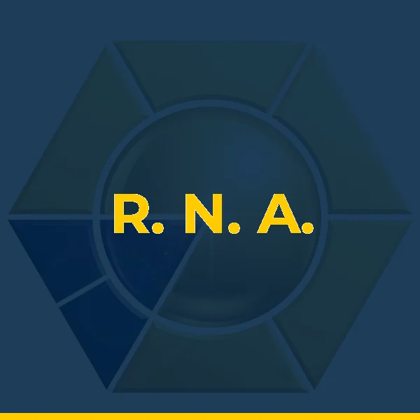 Foto de R. N. A. SERVICOS ADMINISTRATIVOS
