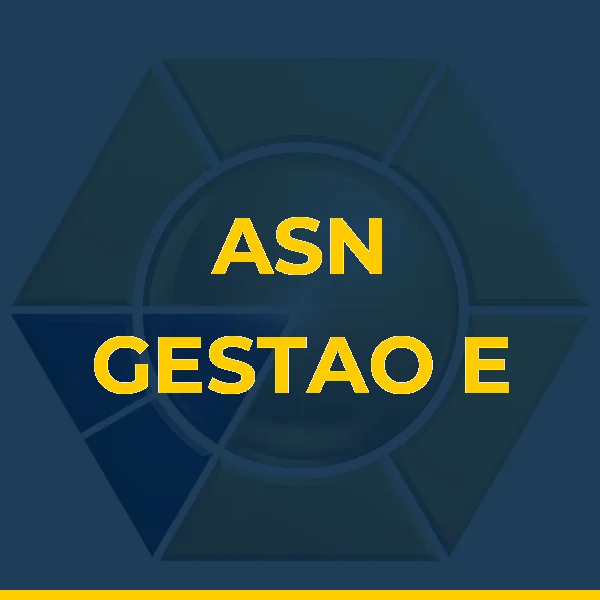 Foto de ASN GESTAO E PRESTACAO DE SERVICO