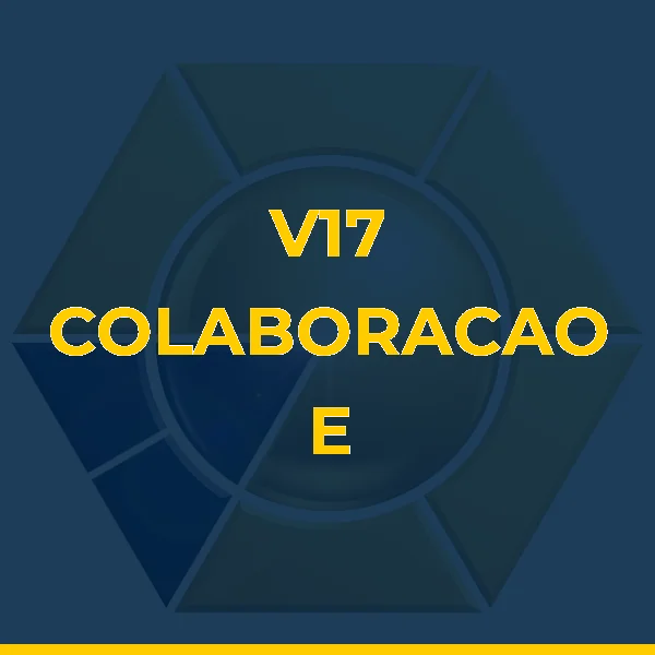 Foto de V17 COLABORACAO E INOVACAO