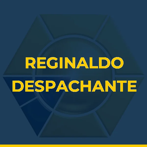 Foto de REGINALDO DESPACHANTE