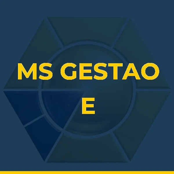 Foto de MS GESTAO E CONSULTORIA ADMINISTRATIVA