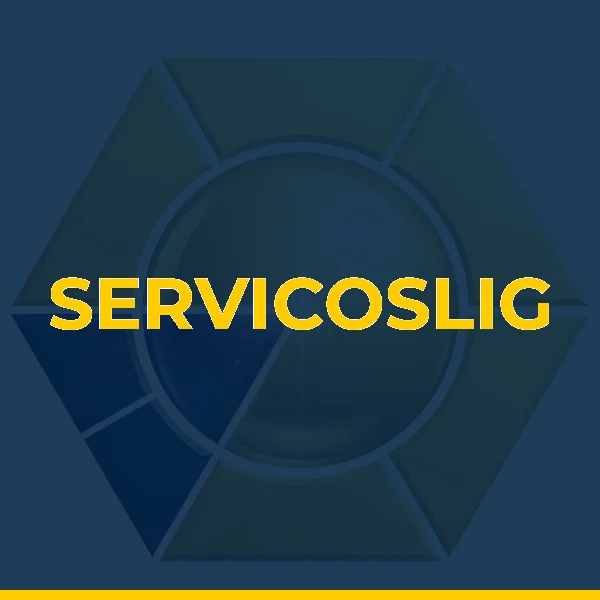 Foto de SERVICOSLIG